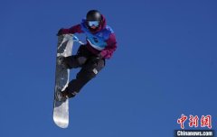 全国自由式和单板滑雪大跳台及坡面障碍技巧冠