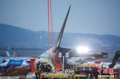 韩国发布航空安全管理方案：加强防范机场鸟击